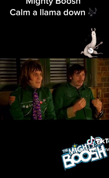 That’s one way to calm a llama down 🦙 🫣 #mightyboosh #calmallamadown #booshsongs #crimp #vincenoir #howardmoon #thezooniverse