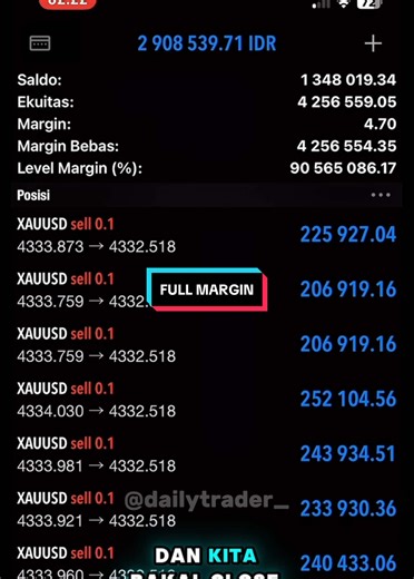 Trading Forex: Episode Full Margin