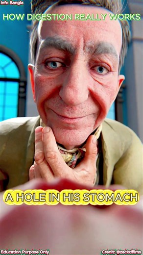 The Shocking Experiment That Revealed How Digestion Really Works #shorts