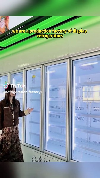 Innovative Display Refrigerators for Fresh Food Storage