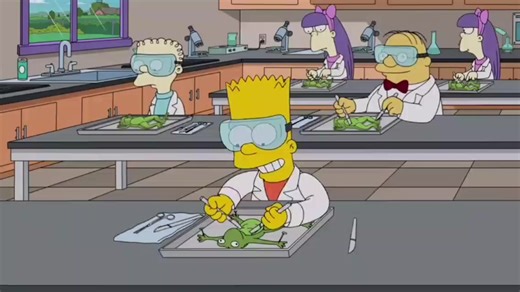 #los simpsons #capitulos completos | simpsons clips