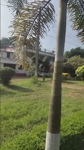 “Training Centre Garden | Fresh Green View”