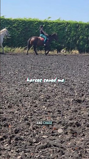How My Horse Saved My Life 🐴💔❤️ #equestrianjourney
