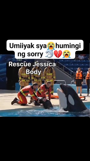 Pero umiiyak ang dolphin 🐬humihing ng sorry 💔🥺 Accident lang jud sguro ang nahitabo Dolphin to Jessica 🥲 @highlight | Marangga Helen