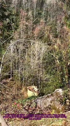 Motorbike Rope Hack! Haul Wood Up Slope Easily #OutdoorHacks #TransportTips