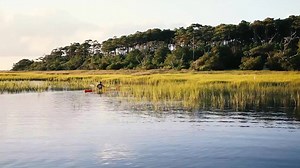 16K views · 100 reactions | For visitors and locals alike, exploring Core Sound from a new vantage point, the seat of a kayak, has its perks. | Core Sound Waterfowl Museum & Heritage Center | Facebook