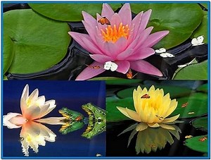 Make video screensaver windows 7