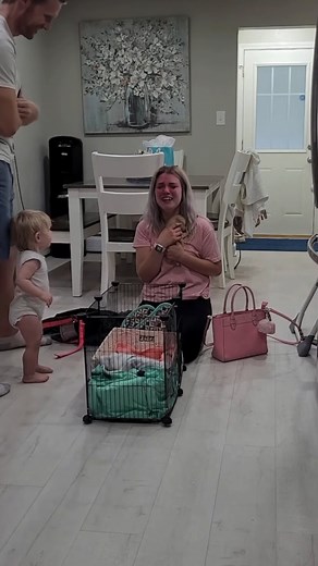 20K views · 413 reactions | An emotional welcome of a new puppy to the family #family #wholesome #puppy #dogs #dogsofinstagram | Dadsnet | Facebook