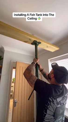 178K views · 668 reactions | Installed A Fish Tank Into The Ceiling #how #howto #doityourself #asmr #homeimprovement #fyp #fish | Luxe for Less | Facebook
