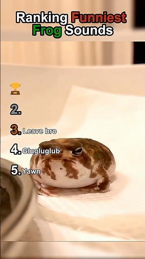 Ranking Funniest Frog Sounds #funnyanimal#frog