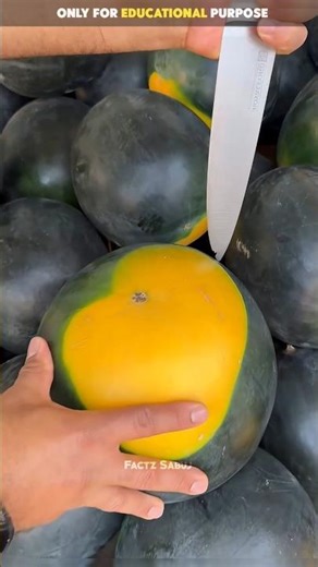 One Small Yellow Mark Changed Everything 🍉😳