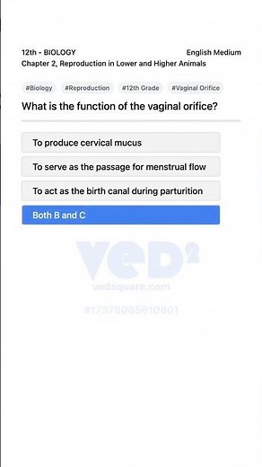 Understanding the Vaginal Orifice in Reproduction Biology 12th