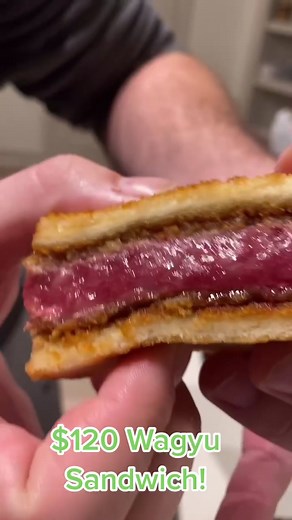 Luxurious $120 Wagyu Sandwich Taste Test!