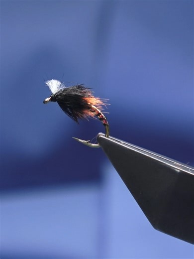 Oil Slick Chironomid Pupa 🪶✨ That subtle oil-sheen body gives just enough flash to suggest life without overdoing it — deadly when the fish are locked on buzzers. Fished static, on the drop, or as part of a washing line, this one earns its place in the box. Simple. Effective. Proven. 🎣 More tying and fishing content over on YouTube 👉 @Scott_Jackson #flytyers #anglersoftiktok #flytyingjunkie #loughfly #flytyingnation #fyp #traditionalflytying #fishingtok #flyfishing #fishinglife #fishing #outd