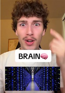 Understanding the Human Brain: The Most Advanced Computer