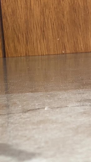 My INVISIBLE custom Stikbot! #stikbot #animation #stopmotion #nostalgia #customstikbot #13 #meme #lego #toy