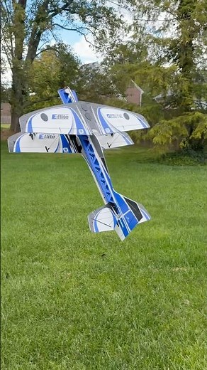 Backyards make the E-flite 4-Site 3D FF (Flat Foamy) feel right at home!