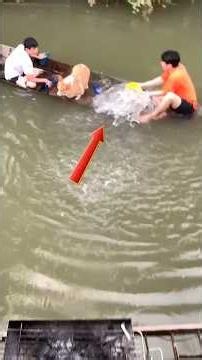 The Craziest And Funniest Boat Fails Ever #shorts