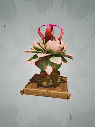 plant species y trap 🌵😱 #fyp #gaming #ark #arksurvivalevolved #arksurvivalascended #plant #species #y #trap #pve #pvp #beach #bob #new #beginner #advanced #help #guide #tips #tricks #basics #meme #toon #mac #crafting