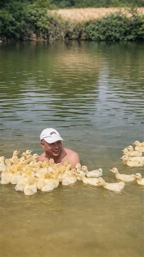 FactParade on Instagram: "Right after hatching, ducklings lock onto the very first moving figure they notice. This process, called imprinting, hardwires them to follow that “leader” wherever it goes. Most of the time it’s their mother — but not always. If a human, an animal, or even a random object moves nearby first, the ducklings may attach to that instead and follow it without hesitation. It’s an ancient survival instinct meant to keep them close to safety, even when it leads to some surprisi