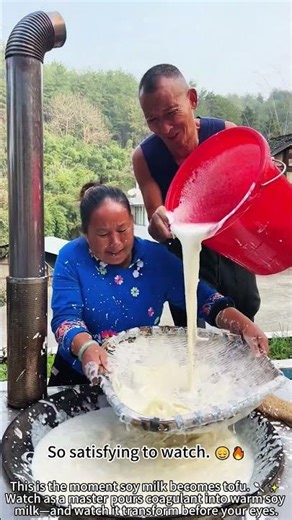 The Magic of Making Tofu – Coagulation 🥄✨