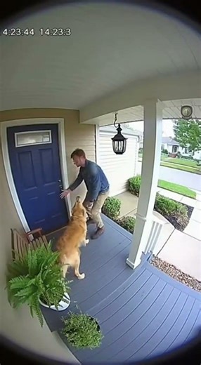 Dog Blocks Owner From Entering House Seconds Before Earthquake