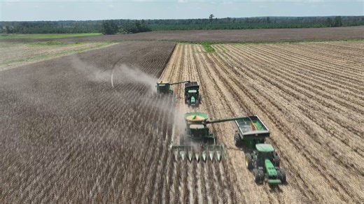 Georgia farmers face fertilizer crisis as Iran blocks key shipping route