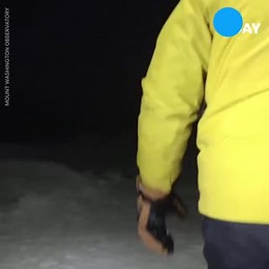 5.8K views · 77 reactions | Watch as boiling water turns into snow as soon as it hits the air in Mount Washington, N.H. Did we mention the wind chill was -84°F? | Poughkeepsie Journal | Facebook