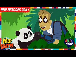 Wild Kratts | Panda Power! | Akili Kids!