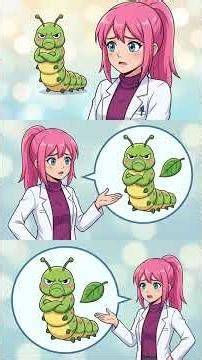 Why Do Butterflies Taste With Their Feet? The Amazing Truth