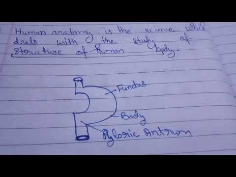 Introduction to Human Anatomy & Physiology | Basic Concepts for Nursing Students ||