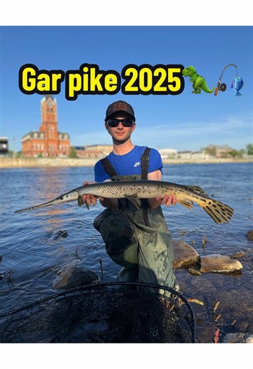 Exploring Gar Pike Fishing in Ontario's Waters