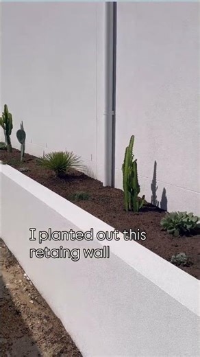 Transforming Stone Into Art: Planting My Sandstone Wall