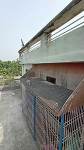 #Palma_loft | Sami Loft & FarmHouse