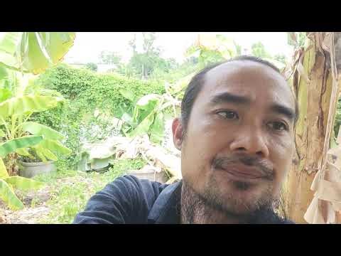 The US imposes sanctions on Iran, but is constantly obstructed and pressured by hostile forces.