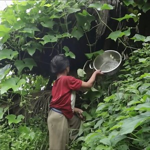 63K views · 588 reactions | How to cook local organic curry in the village rural. | Village Lifestyle | Facebook