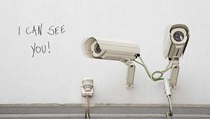 Can My Neighbor Record My Backyard? (Do This to Stop Them!)