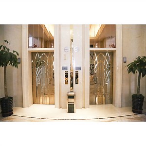 [Hot Item] Machine Roomless 6 Person Residential Passenger Elevator