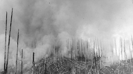 90 years ago, the devastating Tillamook Burn series of fires began