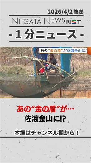 【佐渡市】あの“金の盾”が佐渡金山に！？観光シーズンへ期待膨らむ #佐渡島の金山 #世界遺産 #佐渡市 #新潟