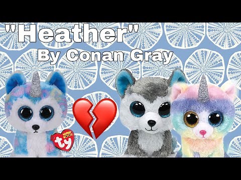 “Heather” By Conan Gray (Beanie Boo Music Video)