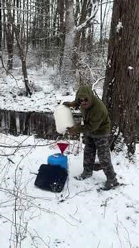 Tapping maple trees @Talesfrom1025