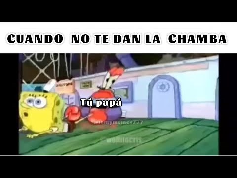 Meme de la Chamba:💸(versión Bob Esponja🧽)#memes #random #humor