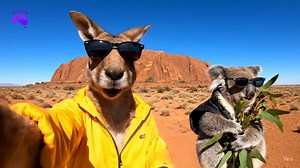 96K views · 2.6K reactions | Kangaroo & Koala Aussie Life Vlogs - Part 1. 輦  Note: This is an AI-generated video created purely for entertainment purposes. If any part of the content feels inaccurate or unsatisfactory, we sincerely ask for your understanding. Thank you for watching! #travelaustralia #australia #aussielife #aussielifestyle #aussiestyle #nature #adventure #travel #aussie #vlog #koala #kangaroo #aussielifevlogs #videoviralシ | Aussie Life | Facebook
