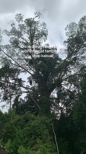 CHRISTENIYOGA02 on TikTok