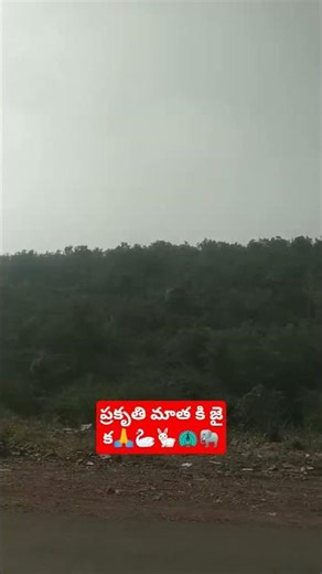 #subscribe#nature#ytshorts#youtubeshorts#support#sub#gardening#subscribemychannel#viral#video#virals