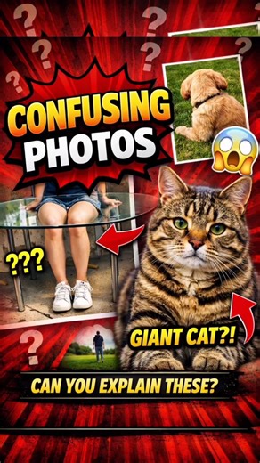 You’re Probably Seeing This Wrong | Confusing Photos 👀