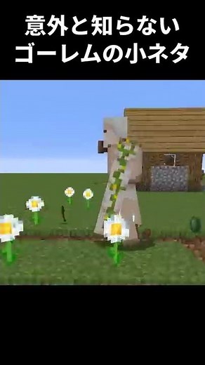 【マイクラ】知られていないゴーレムの秘密 すまない先生#Shorts