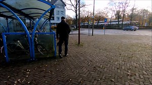 4.6K views · 60 reactions | Hard surface tracking with a young dog....