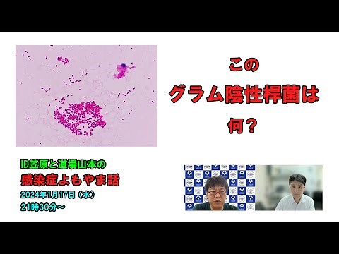 この（尿の）グラム陰性桿菌は…何？